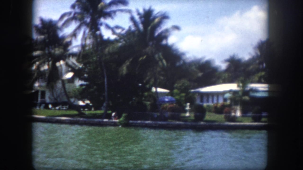 8mm footage circa 1960, Tampa, Florida — waterway pan showing low-slung waterfront homes, dense palms, and a possible vehicle near the shoreline.