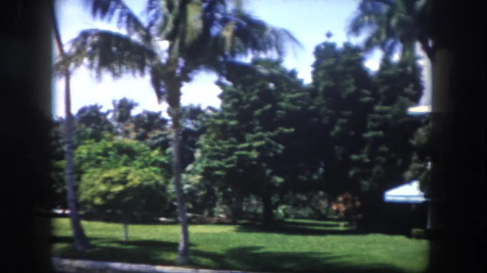 8mm film frame of dense tropical landscaping — tall palms, lush lawn, bright sky — as the white Florida residence recedes out of frame, circa 1960 Tampa.