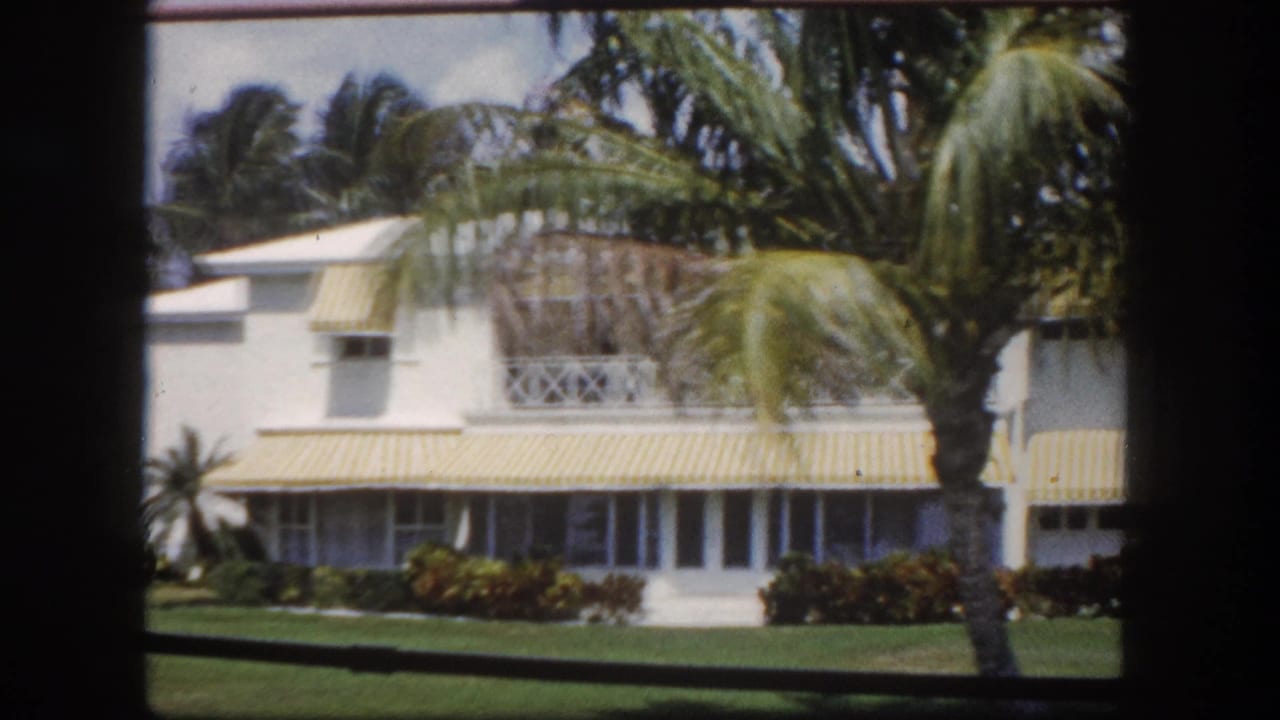 White stucco Florida house with yellow-and-white striped awnings and palm trees, seen through a window, Tampa, c. 1960.
