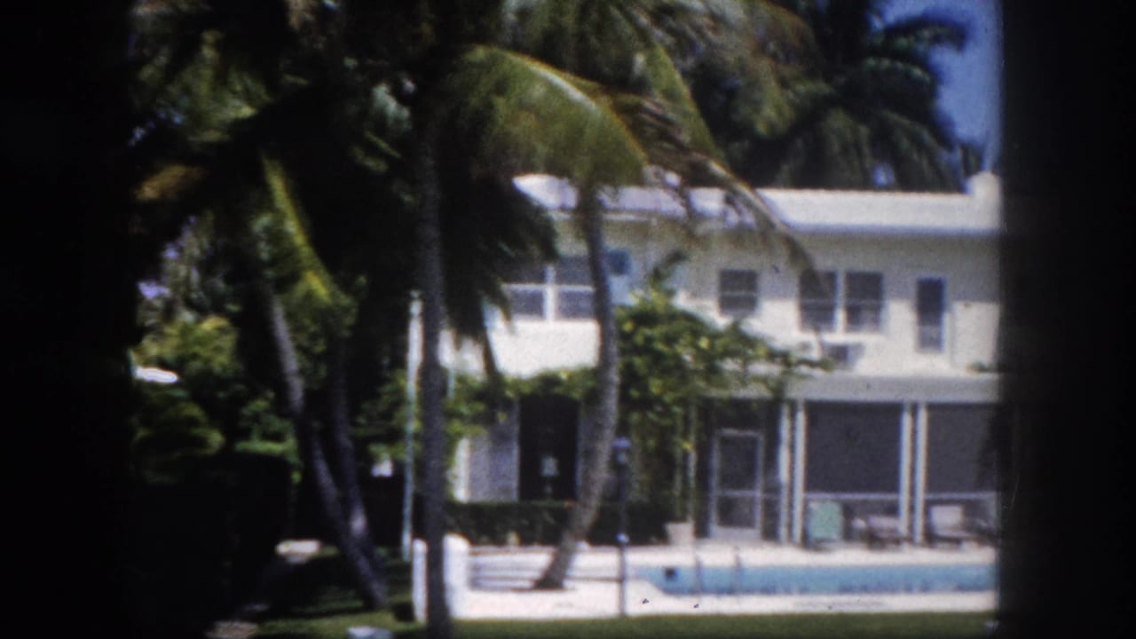 White stucco Florida building with screened enclosures viewed through foreground palm trunks, pool edge at bottom of frame, circa 1960