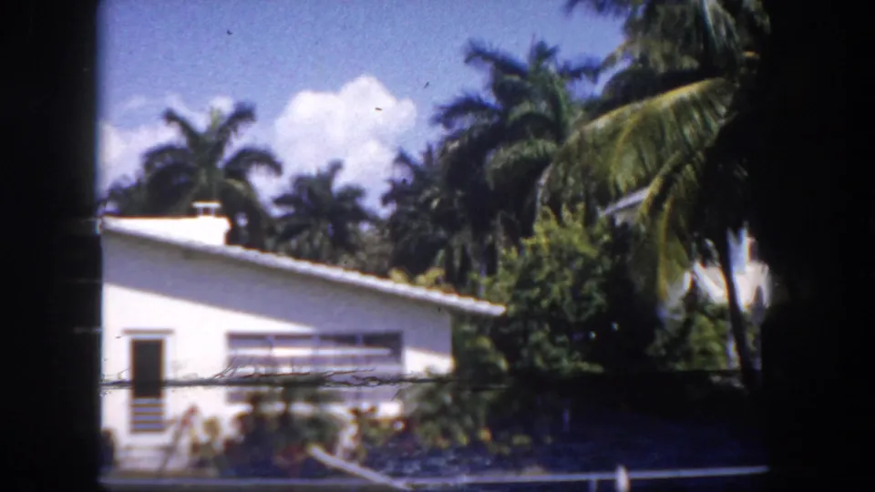 Tall palm trees and dense tropical vegetation above a white Florida house rooftop with white cumulus clouds, circa 1960