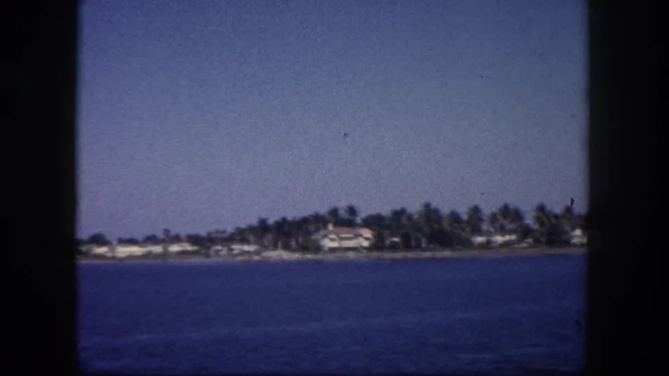 Low-lying palm-tree-lined shore with residential structures visible behind vegetation, likely Tampa Bay area, circa 1960, 8mm color film.