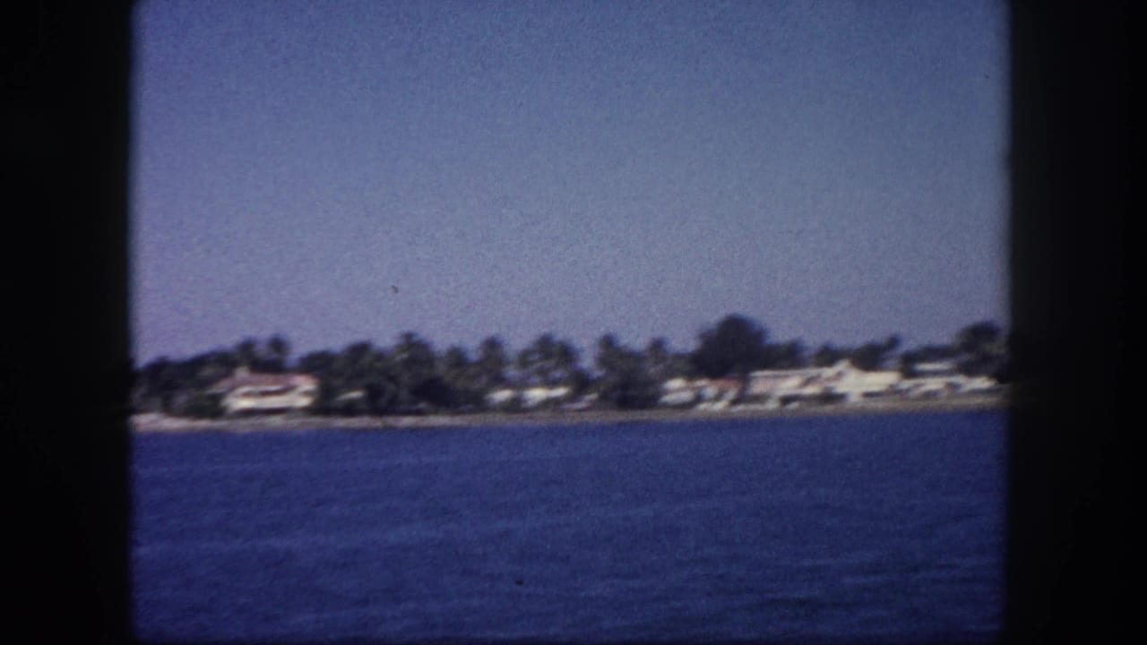 Florida coastal shoreline viewed from a boat, showing palm trees and low-rise buildings across calm blue water.