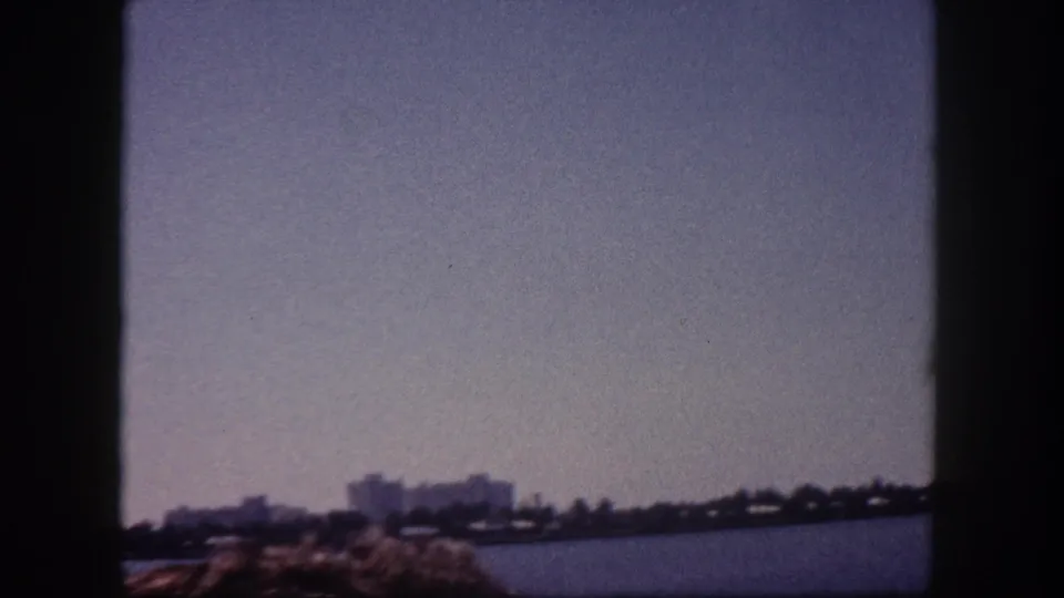 1960 8mm home movie pan with Tampa Bay in mid-ground, distant skyline, and scrubby waterfront vegetation entering the lower frame.