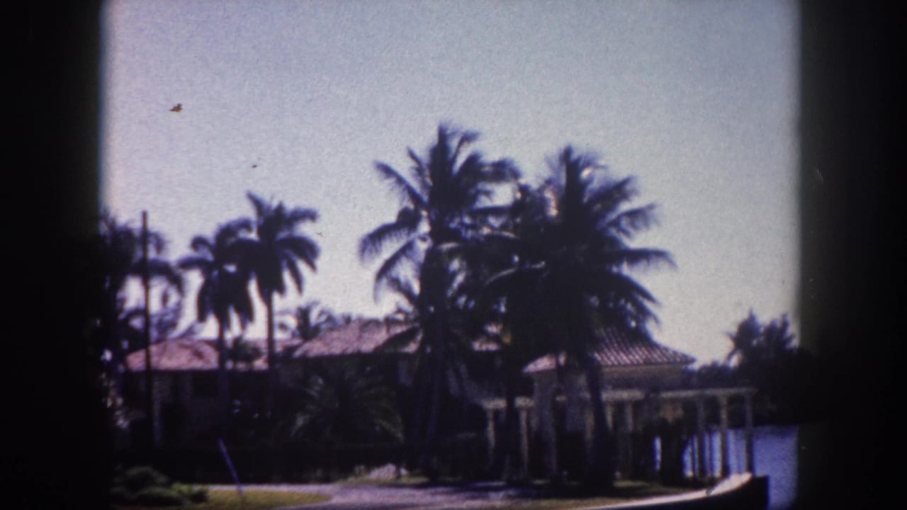 Waterfront building with terracotta tile roof and tall palm trees, viewed from the water, 8mm film.