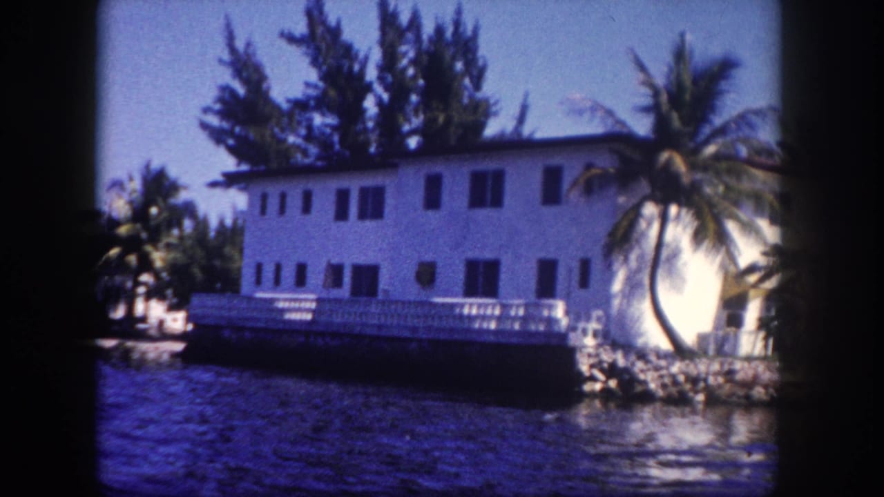 8mm frame, c. 1960, Tampa, Florida: white multi-windowed building with louvred shutters, leaning palm tree, and waterway foreground with rocky shore.