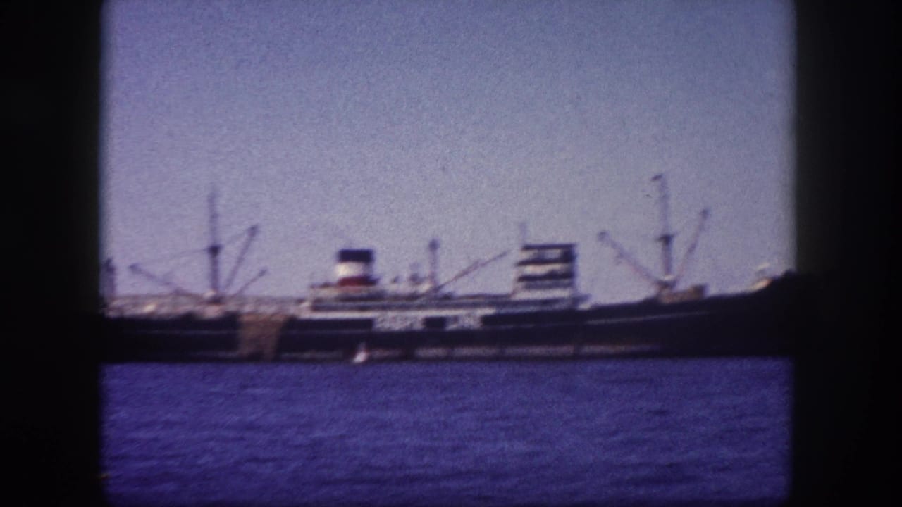Large cargo ship with colored funnel moored at port, multiple loading derricks against pale sky, calm water in foreground.