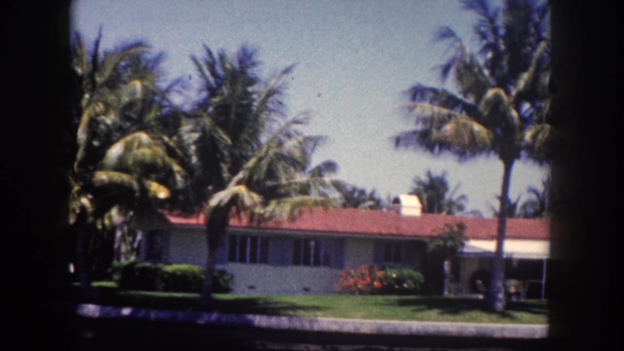Mid-century single-story home with red tile roof and large picture windows, partially screened by mature coconut palms, viewed from a boat on a Tampa waterfront canal, circa 1960.