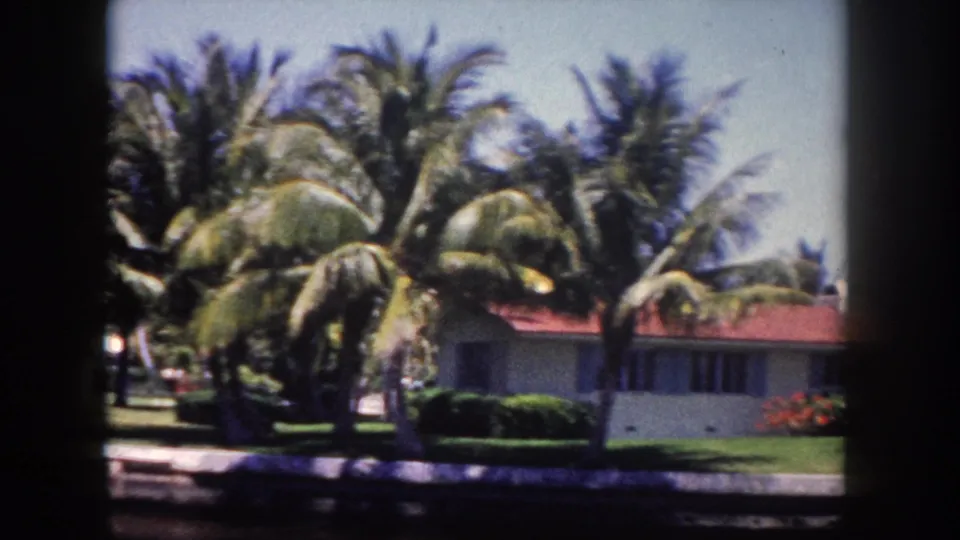 Dense coconut palm canopy partially screens a mid-century home with red tile roof on a Tampa waterway; tropical shrubs visible at the foundation, 8mm footage circa 1960.
