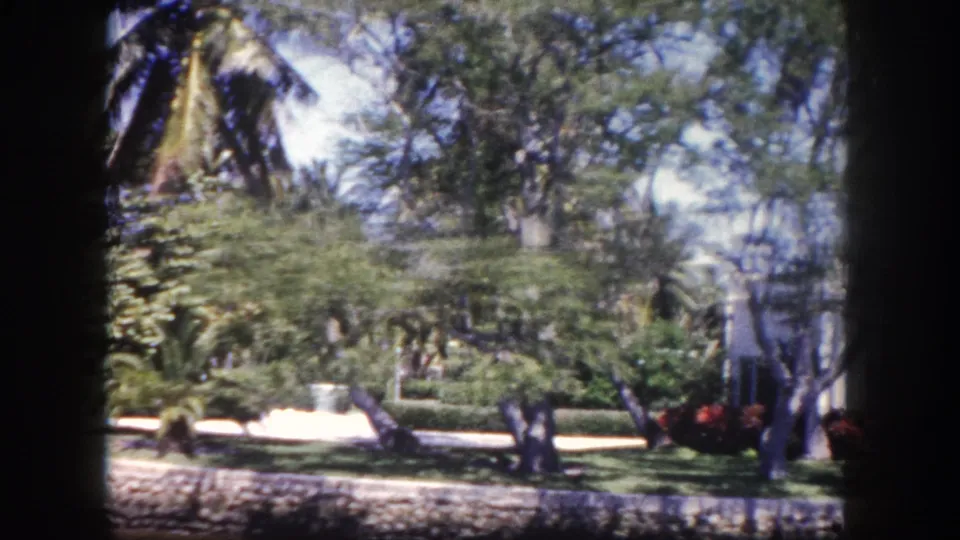 Dense tropical garden with coconut palms and a lamp post, partial view of a light-colored building behind the foliage, Tampa, Florida, circa 1960, 8mm film.