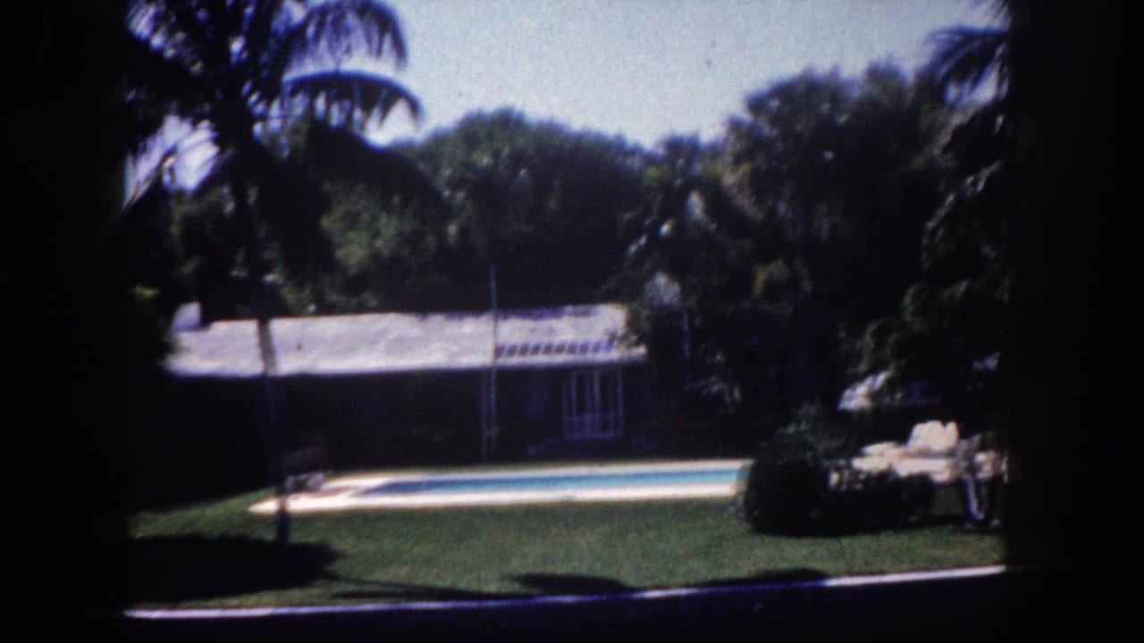 Rectangular swimming pool in a manicured tropical backyard with palm trees and a low ranch house beyond.