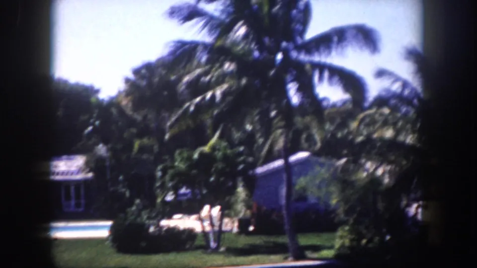 8mm home movie, c.1960, Tampa, Florida: large coconut palms fill the frame above a ranch house and pool area; small figures may be visible near the poolside.