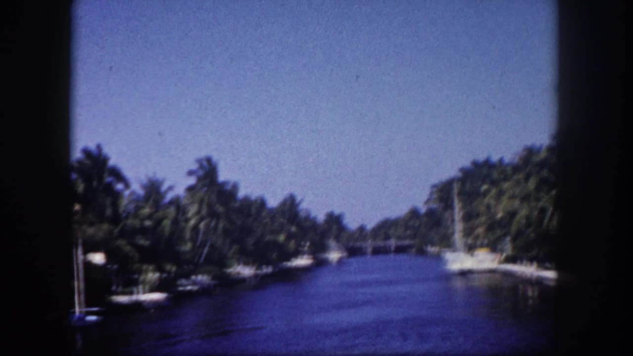 8mm home movie frame of a palm-lined waterway in Tampa, Florida, circa 1960, with moored sailboat mast on the right bank and lush green canopy.
