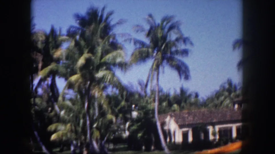 8mm color film frame circa 1960 showing coconut palms over a Mediterranean Revival stucco residence in a Tampa, Florida waterfront neighborhood.