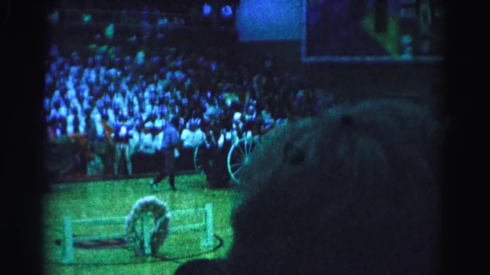 Frame from a 1963 Hagerstown gymnasium performance showing a horse-costumed figure and chariot wheel on the floor, packed stands behind, blue stage lighting overhead.