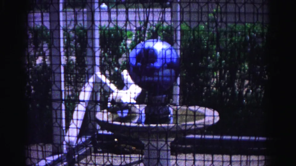 White chicken wading in a circular birdbath in a fenced backyard, Hagerstown, Maryland, 1963, filmed through a dark wire mesh screen with a blue gazing globe.