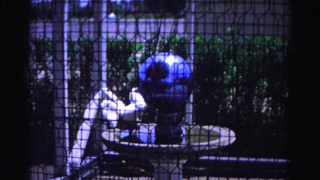 White chicken at a circular birdbath filmed through a wire mesh screen in an enclosed backyard, Hagerstown, Maryland, circa 1963, with a prominent blue gazing globe.