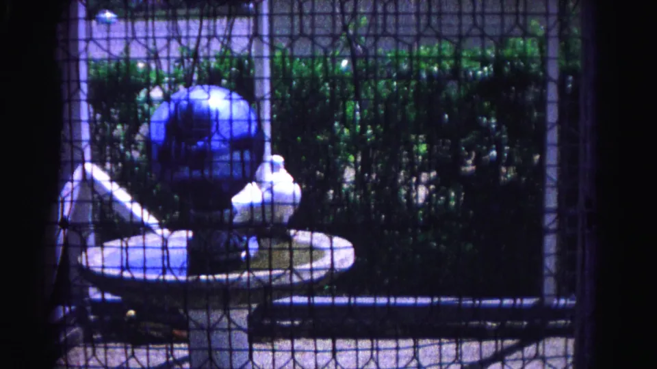 White chicken wading in a circular birdbath in a domestic backyard enclosure, filmed through wire mesh with a prominent blue gazing globe, Hagerstown, Maryland, 1963.