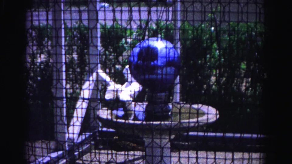 Blue ornamental globe fountain on white pedestal stand through wire mesh, 8mm home movie, Hagerstown Maryland area, 1963