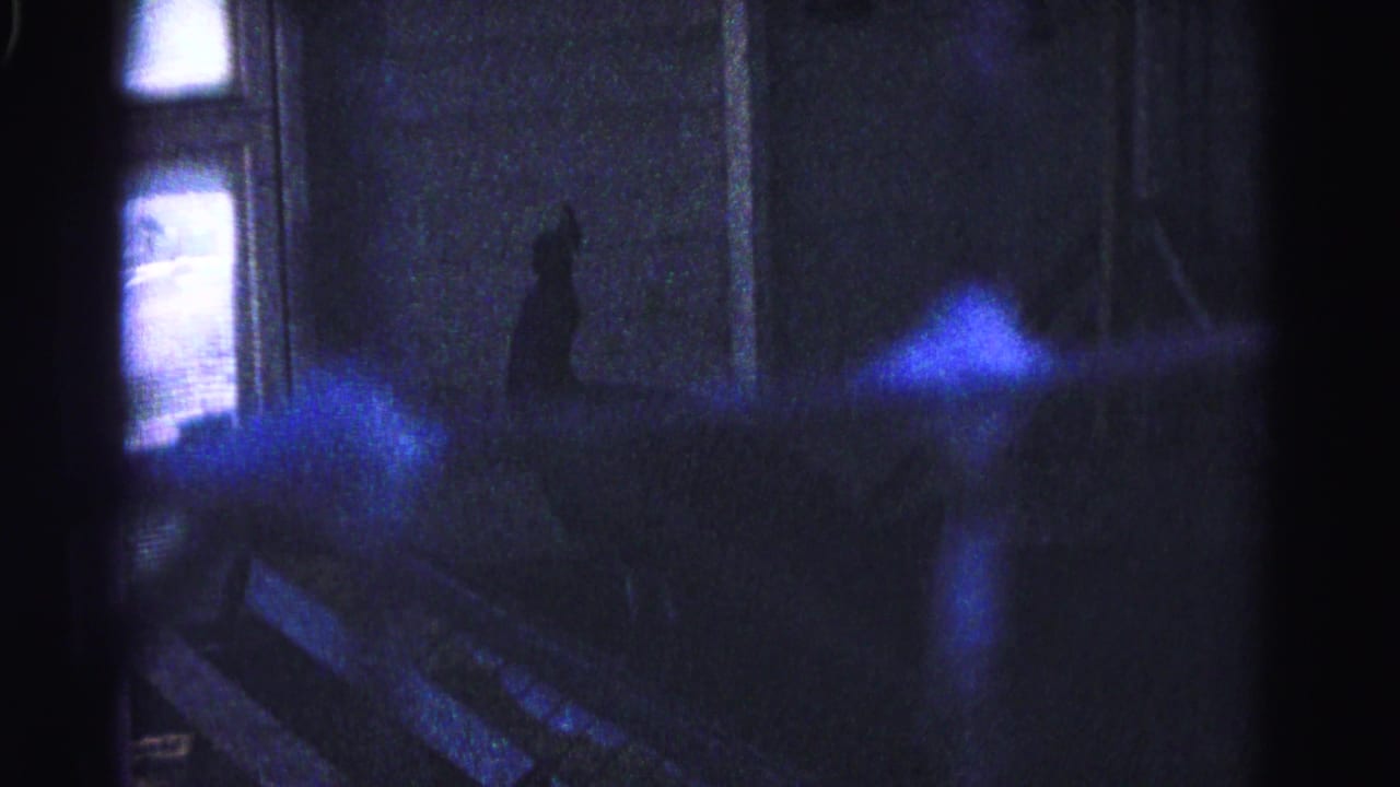 Dark interior enclosure with peacock silhouette and scattered blue lens flares on 8mm film.