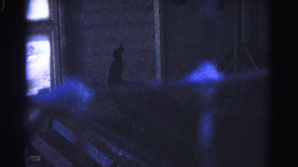 Peacock silhouetted in a dimly lit enclosure interior, multiple blue light flares across the frame; 8mm home movie, Hagerstown Maryland area, 1963.