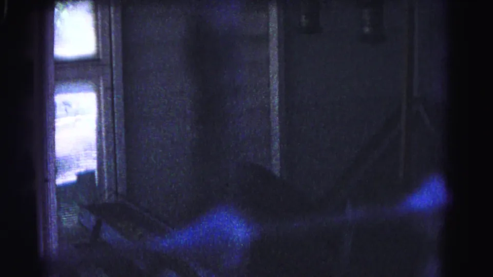 Heavily flared 8mm frame inside peacock enclosure, exterior light visible through windows; Hagerstown Maryland area, 1963 home movie.