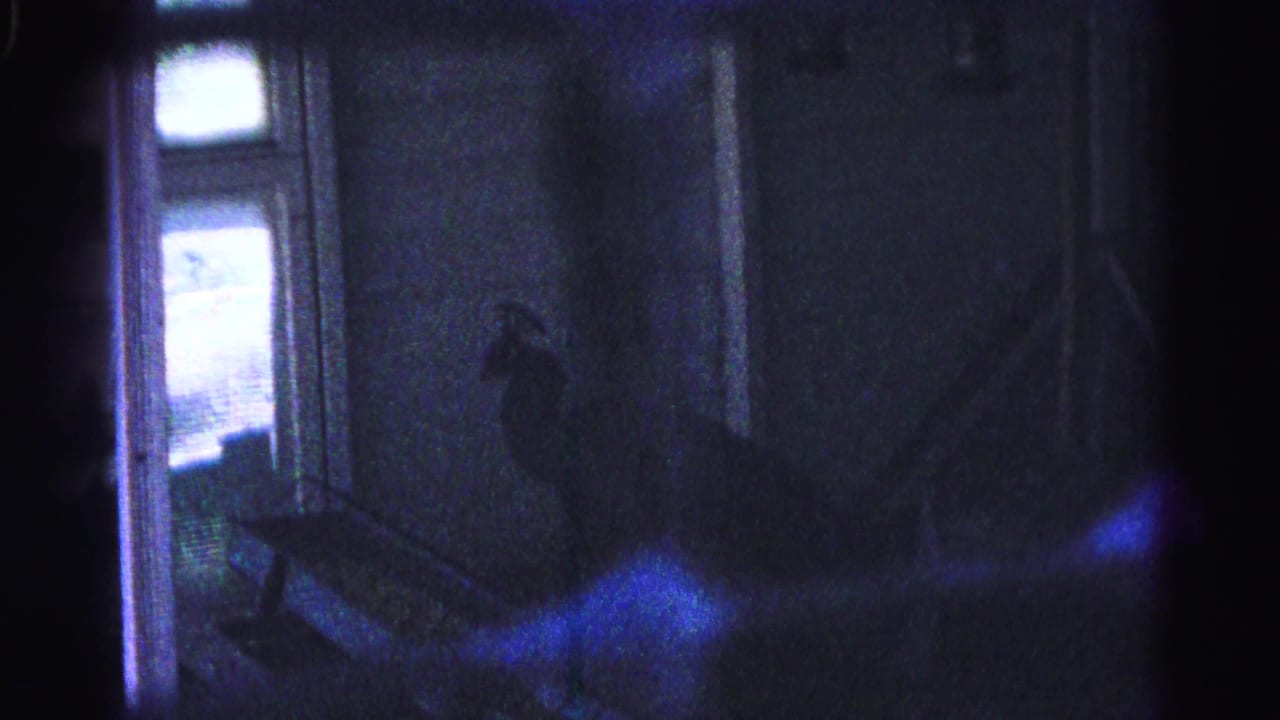 8mm home movie frame circa 1963 — dark bird silhouette perched near interior stairs, backlit by a window; blue film artifact at lower right; Hagerstown, Maryland.