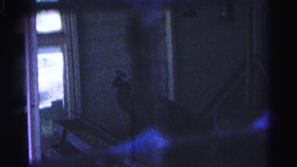 8mm home movie frame circa 1963 — dark bird silhouette perched near interior stairs, backlit by a window; blue film artifact at lower right; Hagerstown, Maryland.