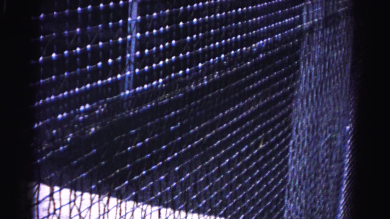 Close view through a fine mesh or window screen; a bright backlit area is visible at right in a dark interior.