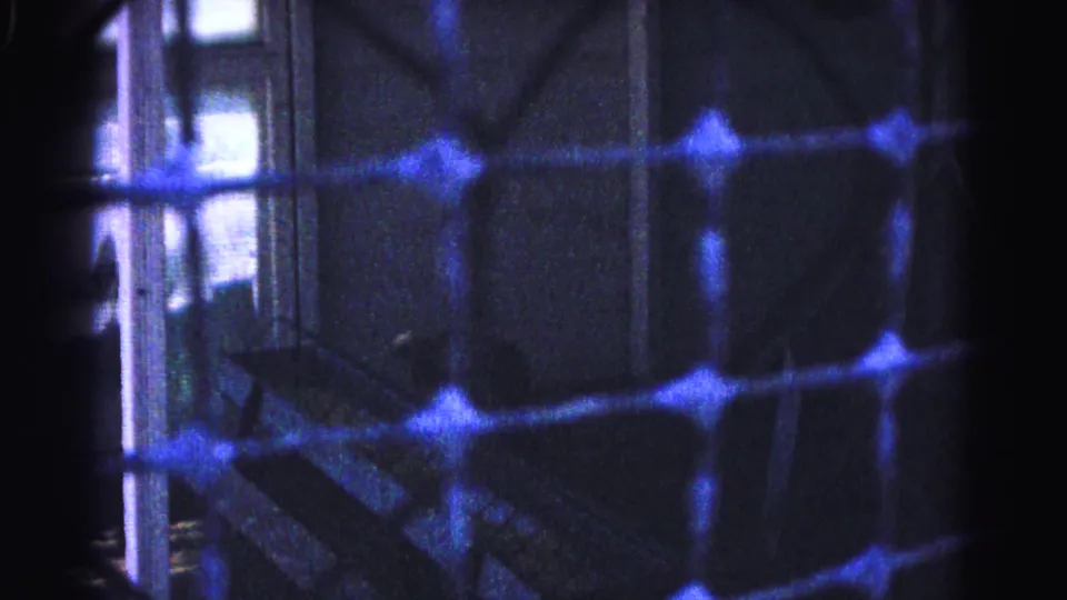 8mm home movie frame from 1963 showing blue diamond-pattern mesh and backlit window at right; static camera position maintained throughout.