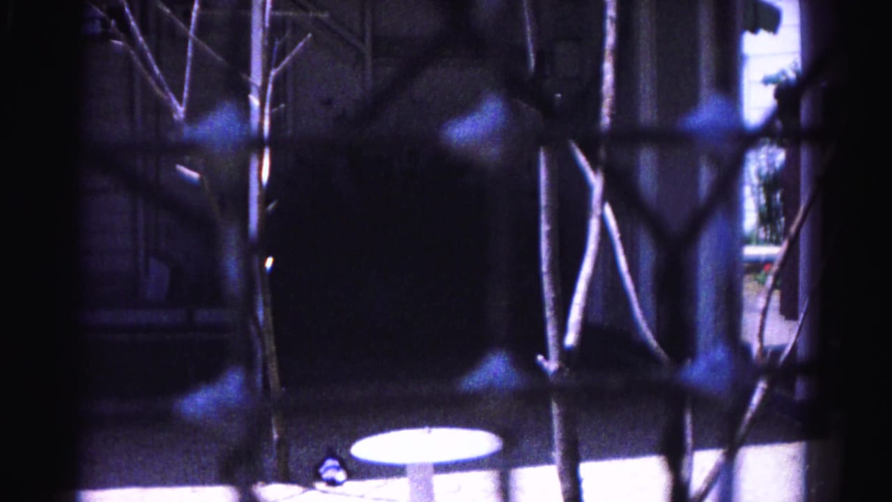 Interior of a zoo enclosure seen through wire fencing, with bare branches and a white circular platform on the ground; a small blue-green form at lower left may be the peacock.
