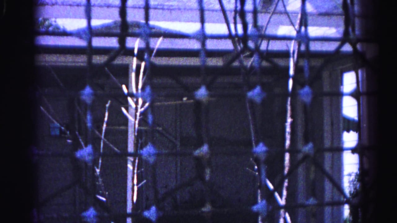 Chain-link fence with bare branches in foreground; blue-hazy residential yard and pale house wall beyond, heavy 8mm film grain.