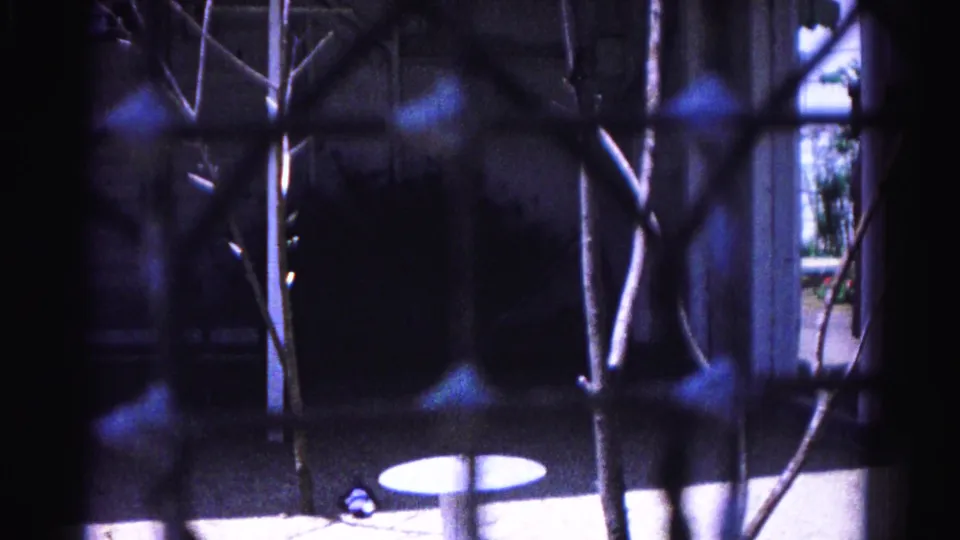 8mm still c.1963, Hagerstown Maryland — chain-link fence and bare branches; dark billowing mass at lower frame consistent with smoke or dense atmospheric haze.