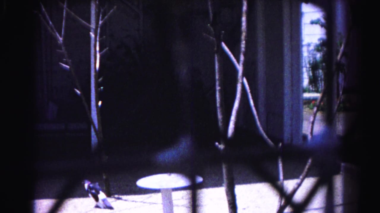 View through wire mesh screen toward a small round white patio table amid bare branches; blue-purple 8mm color cast