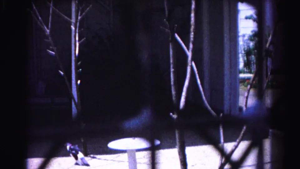 1963 8mm home movie view from inside a Hagerstown, Maryland home through a wire screen, bare winter branches and a white patio table in the yard beyond