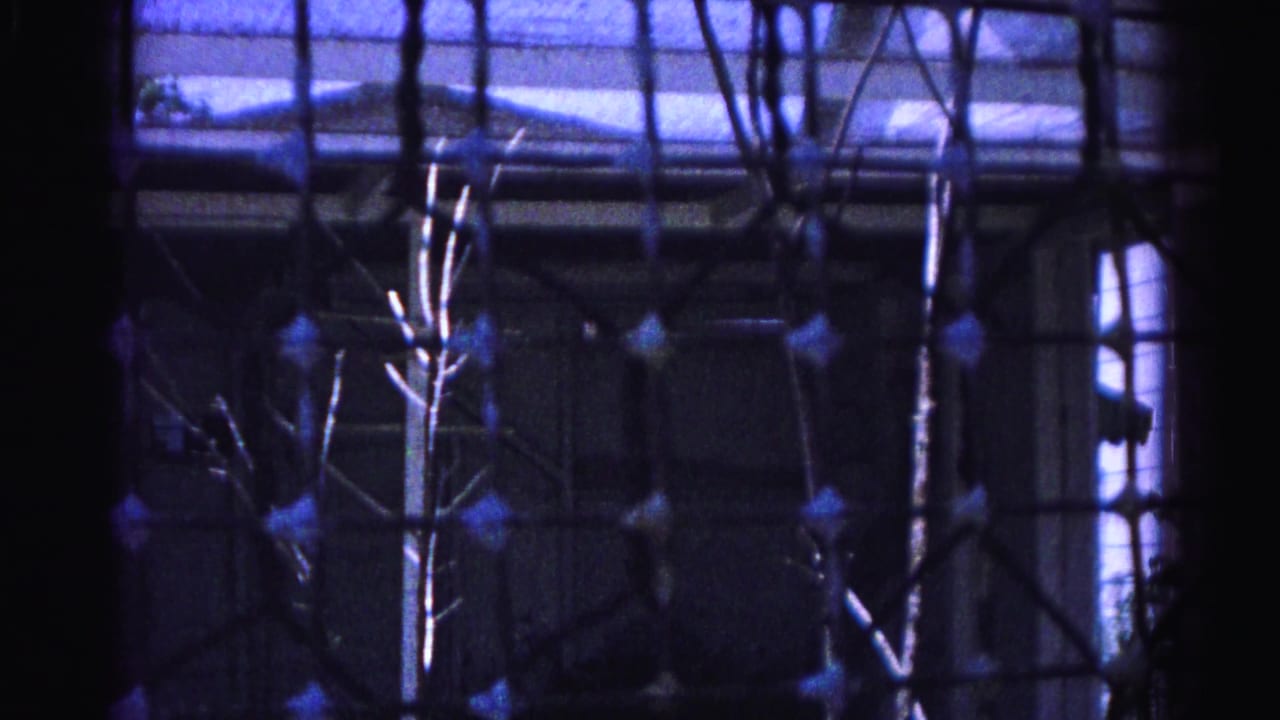 Wire mesh screen foreground with bare branches and partial roofline visible through blue-purple 8mm film haze
