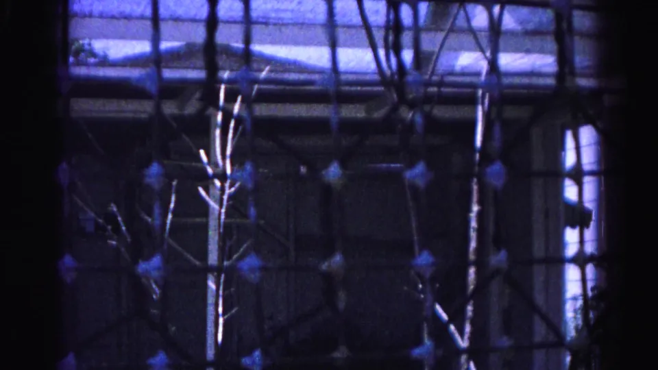 1963 8mm footage through a wire screen showing bare branches and what appears to be a residential roofline in Hagerstown, Maryland