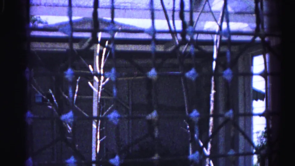 Closing 8mm frame from 1963 Hagerstown backyard sequence, wire mesh foreground, bare branches, consistent blue-purple color shift from dye aging