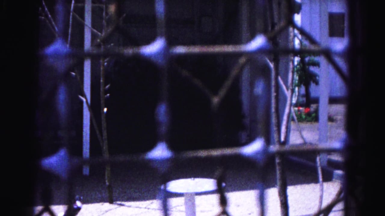 View through a chain-link fence of a concrete backyard, bare tree branches in foreground, residential building visible at rear.