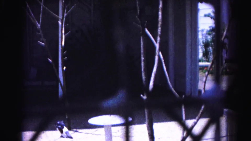 8mm home movie circa 1963, Hagerstown Maryland: pigeon on concrete patio close to the fence, framed by bare branches, with pedestal table and house visible in background.