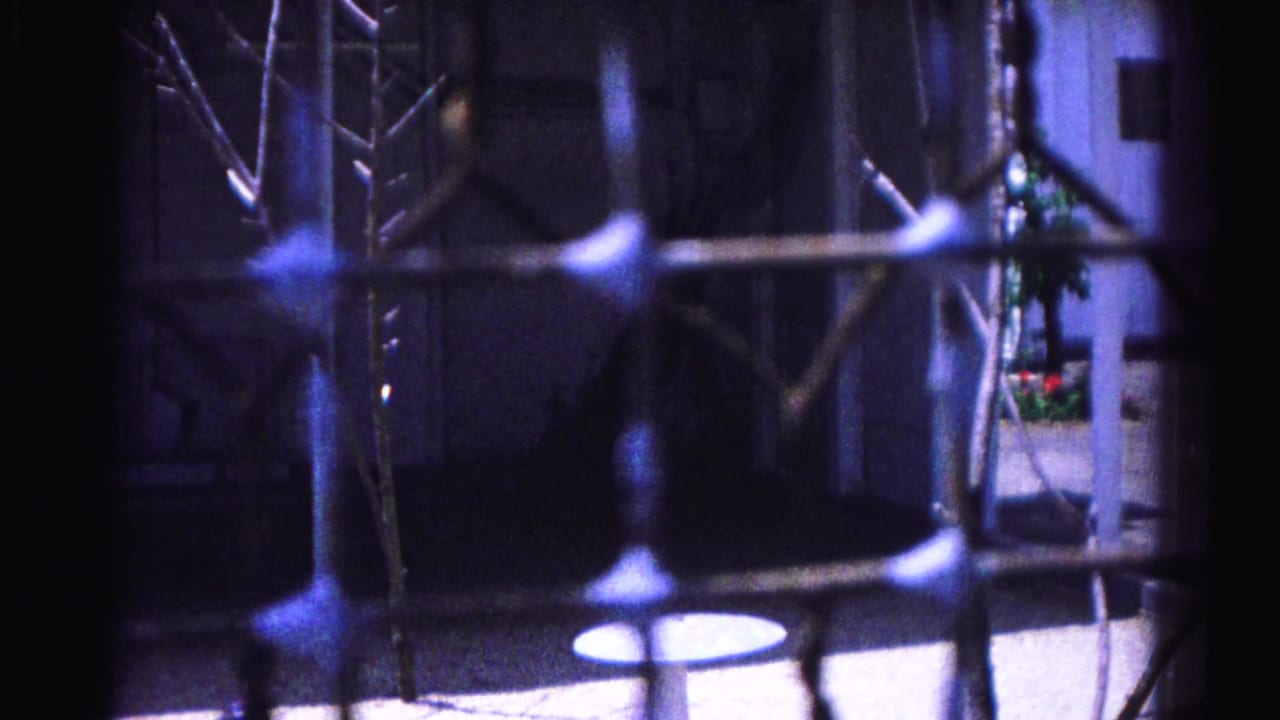 Metal enclosure bars in foreground; bare branches and distant red flower planters visible through fence