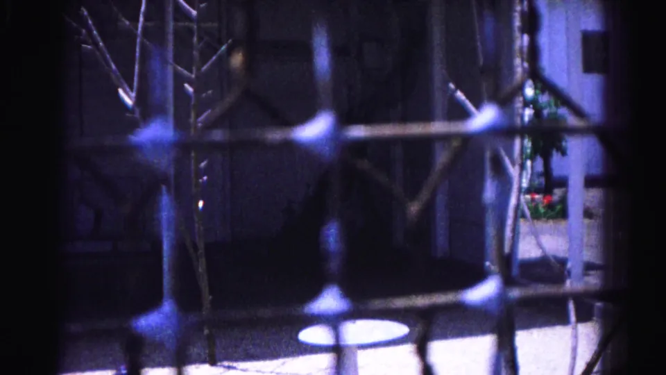 8mm home movie frame from a 1963 zoo visit, likely Hagerstown, Maryland, showing metal enclosure bars, bare branches, and distant red flower planters