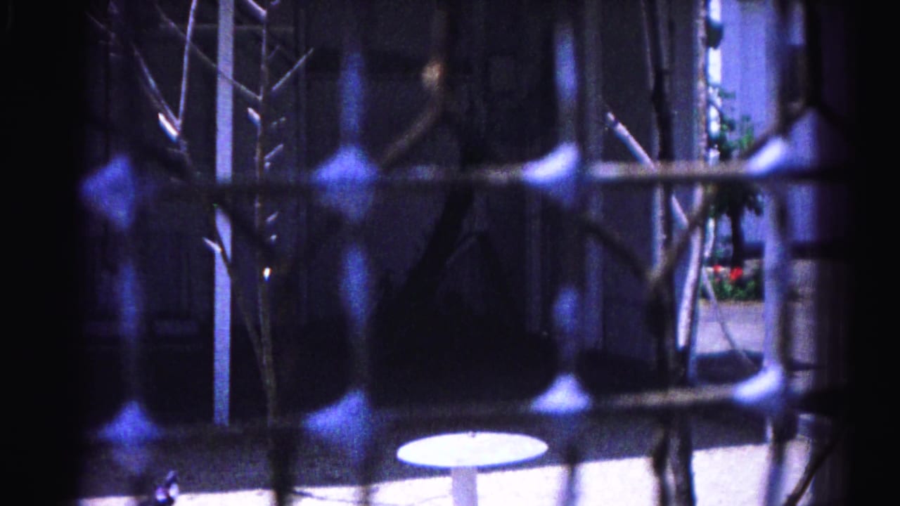 8mm frame from a 1963 Hagerstown zoo outing; metal enclosure bars and bare branches dominate, with background planters and pale wall