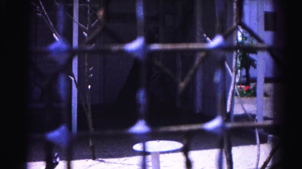 Mid-clip 8mm frame from a 1963 Hagerstown zoo visit; fence bars and bare branches dominate with planters and pale wall behind
