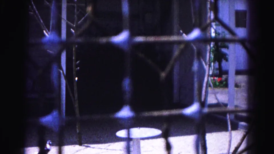 Closing 8mm frame from a 1963 Hagerstown zoo visit; fence bars and bare branches frame a background with planters and pale wall