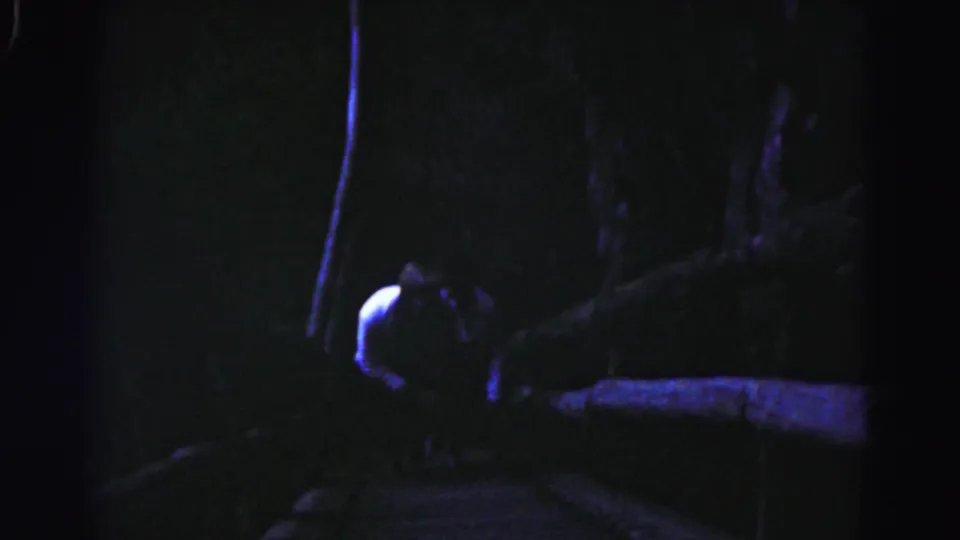 The figure appears lower in the frame, leaning or stepping carefully on the dark outdoor stairs in the 1963 Hagerstown clip.