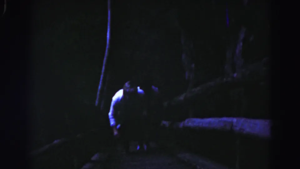 The final frame shows the man near the steps in blue-purple nighttime light, surrounded by dark trees and a low stairway edge.