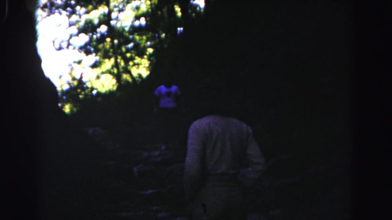 1963 8mm home-movie frame near Hagerstown showing a person from behind walking through shaded woods.