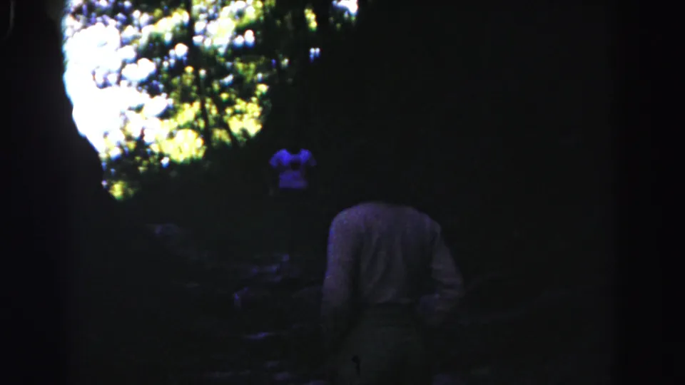 1963 8mm home-movie frame near Hagerstown showing a person from behind walking through shaded woods.