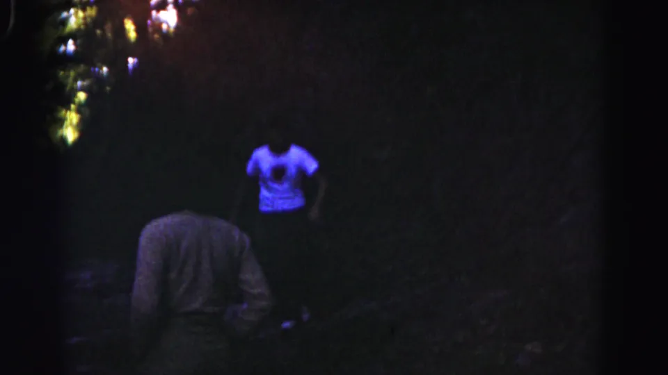In shaded woods near Hagerstown, a blue-shirted person runs toward the camera as another person stands or walks in front.